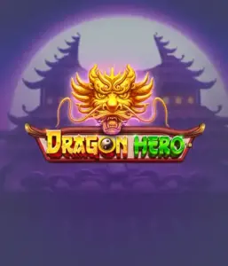 Присоединитесь к мифическое приключение с Dragon Hero Slot от Pragmatic Play, освещающей захватывающую визуализацию мощных драконов и героических битв. Исследуйте землю, где магия встречается с триллом, с представляющими зачарованных оружий, мистических существ и сокровищ для очаровательного игрового опыта.